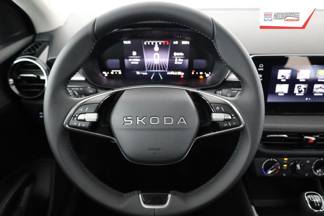 Skoda Fabia Selection 1.0 TSI Selection, LED, Kamera, Winter, 5 J.-Garantie 
