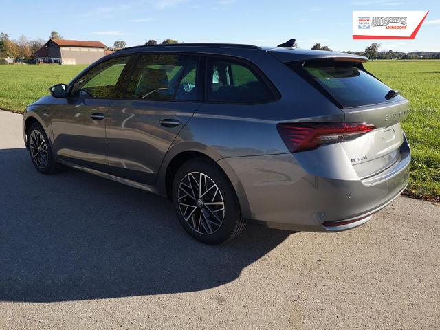 Skoda Octavia Combi 2.0 TDI 110 kW Selection Kombi DSG Pano 17 Lodge Navi PDC GV5 el. Hk 