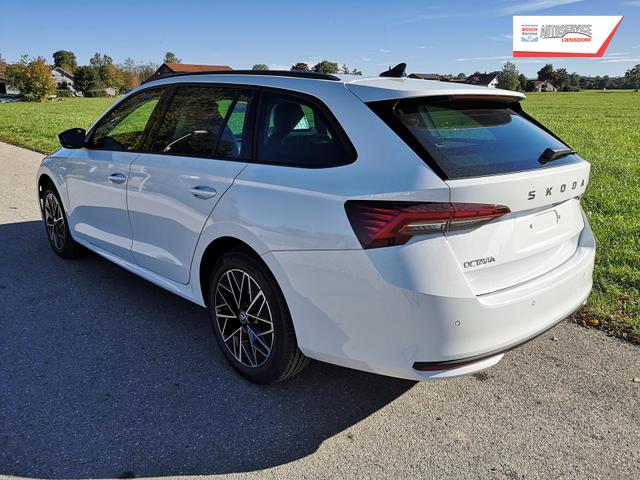 Skoda Octavia Combi 2.0 TDI 110 kW Selection Kombi DSG 17 Lodge Navi PDC GV5 el. Hk 