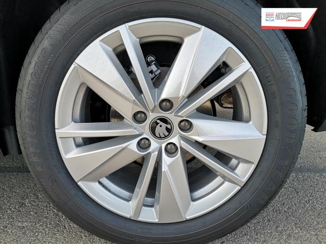 Skoda Karoq Selection 1.5 TSI DSG ABT GV5 AHK 17 Ladeb 