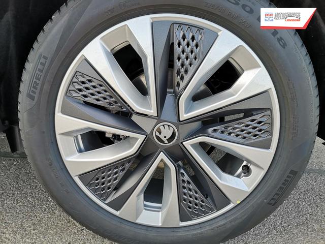 Skoda Karoq Selection 2.0 TDI DSG 4x4 GV5 AHK 18 Ladeb 