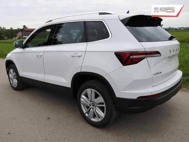 Skoda Karoq Selection 2.0 TDI DSG GV5 AHK 17 