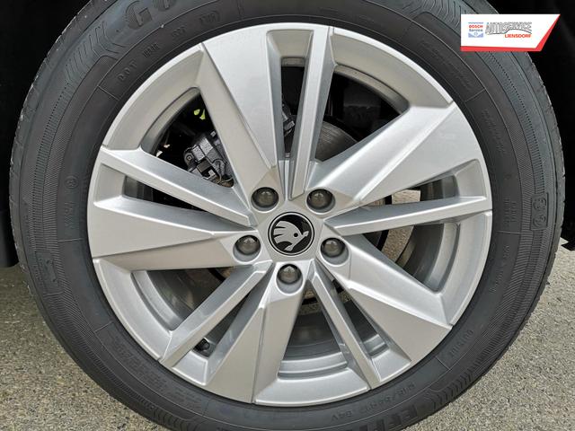 Skoda Karoq Selection 2.0 TDI DSG GV5 AHK 17 