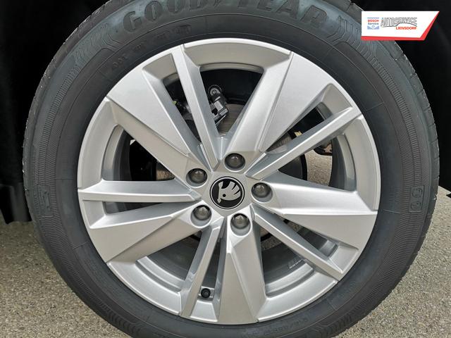 Skoda Karoq Selection 1.5 TSI DSG ABT GV5 AHK 17 Ladeb 