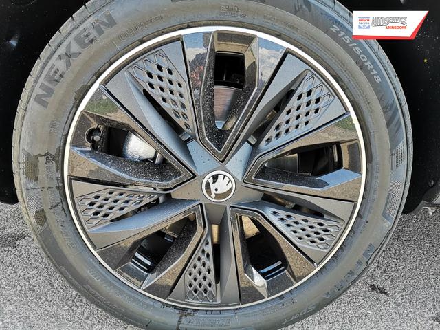 Skoda Karoq Sportline 1.5TSI DSG ABT AHK Matrix ACC Navi 