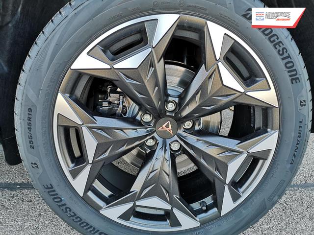 Cupra Terramar 2.0 TSI 195 kW 4Drive VZ 2.0TSI ABT AHK ACC el. Hk 
