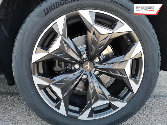 Cupra Terramar 2.0 TSI 195 kW 4Drive VZ 2.0TSI AHK ACC el. Hk GV5/100TKM 