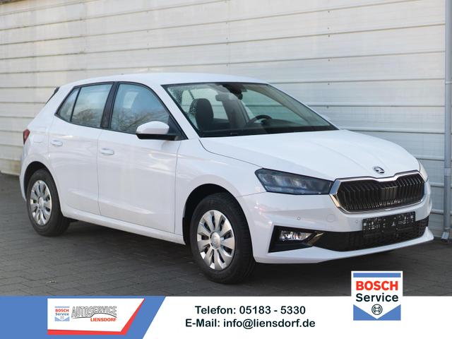 Skoda Fabia - Selection 1.0 TSI DSG *SHZ*LED*KLIMAAUTO.