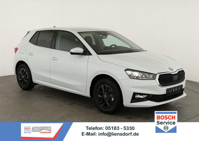 Skoda Fabia - Selection 1.0 TSI DSG Selection, 15-Zoll schwarz, Winter, Ladeboden