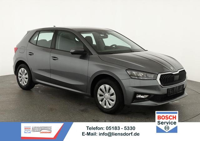 Skoda Fabia - Selection 1.0 TSI Selection, Ladeboden, Park, Winterpaket, SmartLink, 4-J Garantie