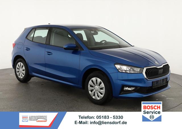 Skoda Fabia - Selection 1.0 TSI Selection, Tempomat, Park, Winterpaket, SmartLink, 4-J Garantie