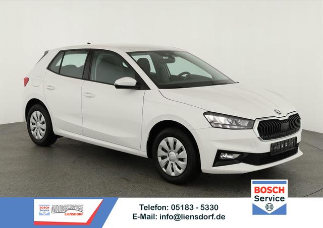 Skoda Fabia - Selection 1.0 TSI Selection, Tempomat, Park, Winterpaket, SmartLink, 4-J Garantie