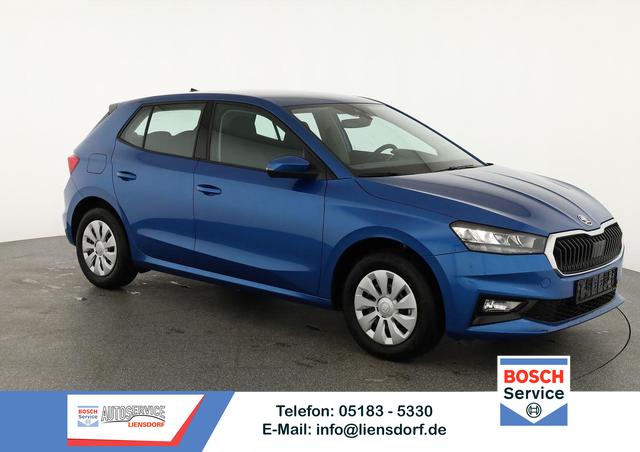 Skoda Fabia - Selection 1.0 TSI Selection, Ladeboden, Park, Winterpaket, SmartLink, 4-J Garantie
