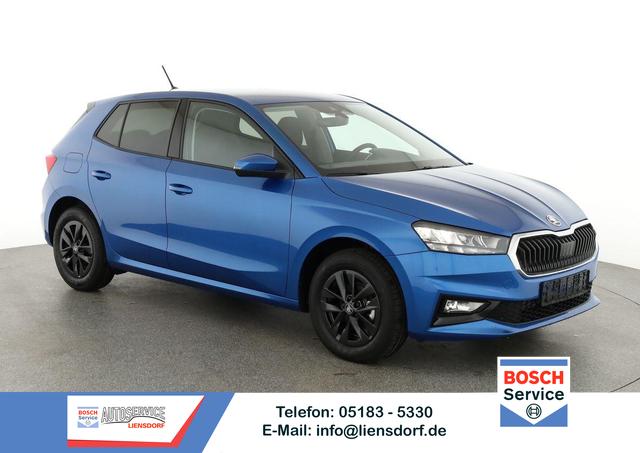 Skoda Fabia - Selection 1.0 TSI 130 Jahre, Kamera. 15-Zoll schwarz, Winterpaket