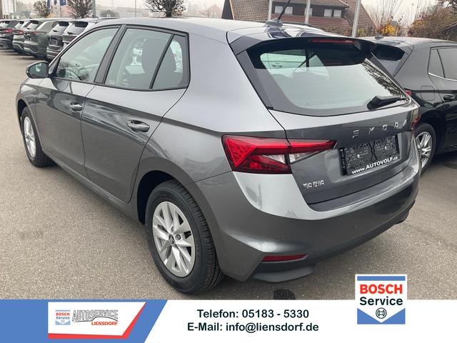 Skoda Fabia - Selection 130 Jahre Selection, LED, Kamera, WInter