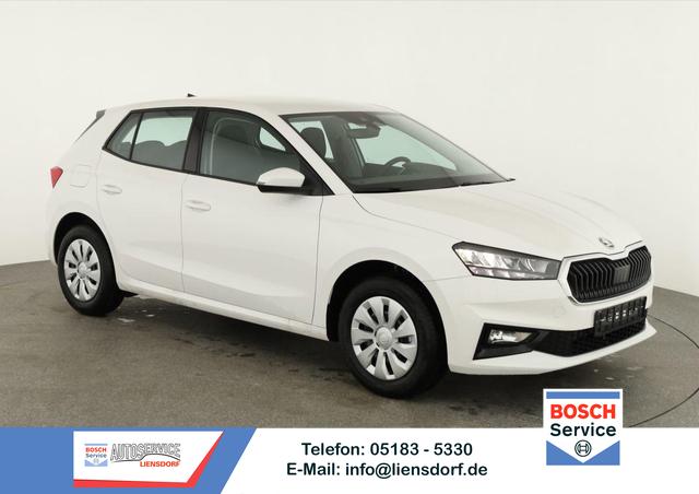 Skoda Fabia - Selection 1.0 TSI Selection, Ladeboden, Park, Winterpaket, SmartLink, 4-J Garantie