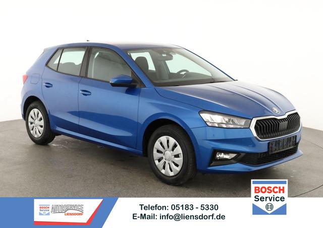 Skoda Fabia - Selection 1.0 TSI Selection, Tempomat, Park, Winterpaket, SmartLink, 4 J.-Garantie
