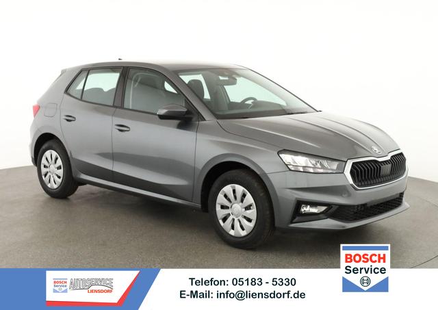 Skoda Fabia - Selection 1.0 TSI Selection, Ladeboden, Park, Winterpaket, SmartLink, 4 J.-Garantie