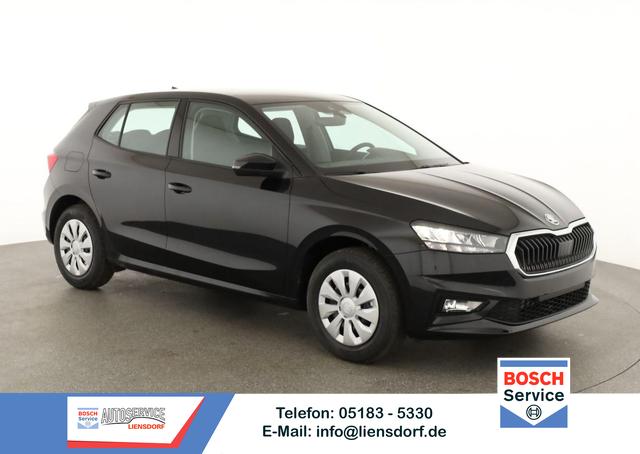 Skoda Fabia - Selection 1.0 TSI Selection, Ladeboden, Park, Winterpaket, SmartLink, 4 J.-Garantie