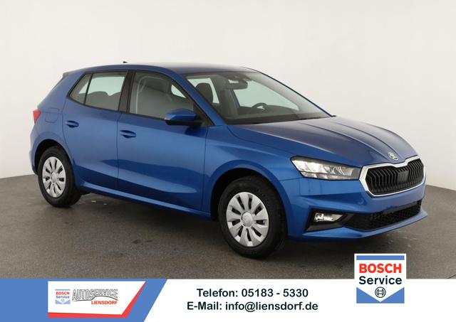 Skoda Fabia - Selection 1.0 TSI Selection, Ladeboden, Park, Winterpaket, SmartLink, 4 J.-Garantie