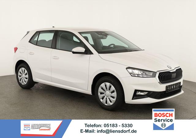 Skoda Fabia - Selection 1.0 TSI Selection, Park, Winterpaket, SmartLink, 4 J.-Garantie