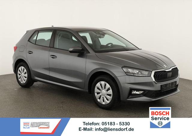 Skoda Fabia - Selection 1.0 TSI Selection, Park, Winterpaket, SmartLink, 4 J.-Garantie