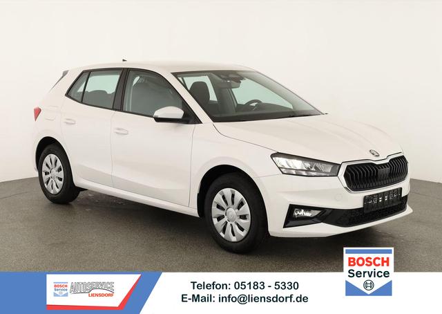Skoda Fabia - Selection 1.0 TSI Selection, Ladeboden, Park, Winterpaket, SmartLink, 4 J.-Garantie