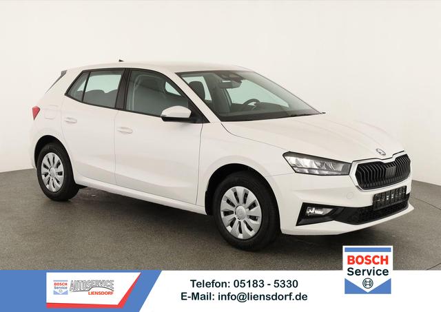 Skoda Fabia - Selection 1.0 TSI Selection, Tempomat, Park, Winterpaket, SmartLink, 4 J.-Garantie