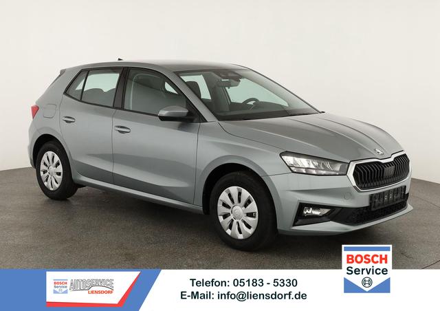 Skoda Fabia - Selection 1.0 TSI Selection, Tempomat, Ladeboden, Park, Winterpaket, SmartLink, 4-J Garantie