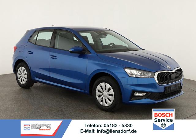 Skoda Fabia - Selection 1.0 TSI Selection, Tempomat, Ladeboden, Park, Winterpaket, SmartLink, 4-J Garantie
