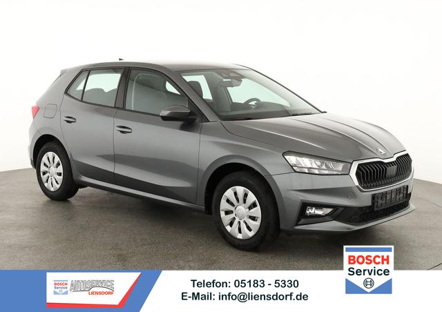 Skoda Fabia - Selection 1.0 TSI Selection, AHK, Tempomat, Ladeboden, Park, Winterpaket, SmartLink, 4-J Garantie