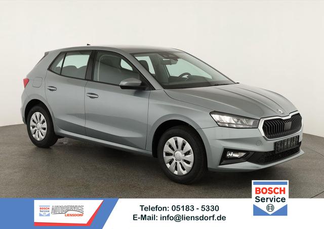 Skoda Fabia - Selection 1.0 TSI Selection, AHK, Tempomat, Ladeboden, Park, Winterpaket, SmartLink, 4-J Garantie