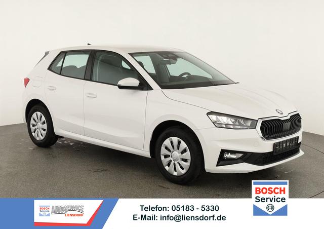 Skoda Fabia - Selection 1.0 TSI Selection, Tempomat, Park, SmartLink, 4 J.-Garantie