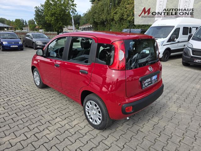 Fiat Panda Pandina Icon Hybrid 1.0 GSE 65 PS 