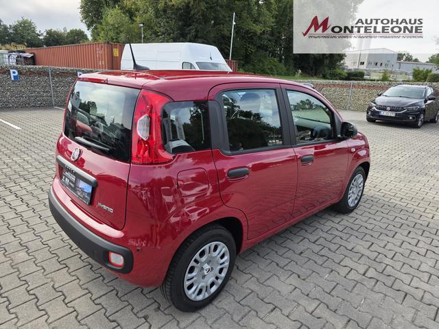 Fiat Panda Pandina Icon Hybrid 1.0 GSE 65 PS 