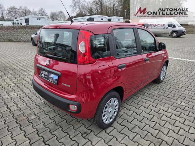 Fiat Panda 1.0 Mild Hybrid Pandina Pop 