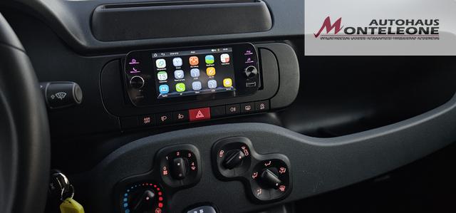 Fiat Panda 1.0 Mild Hybrid Pandina Pop 