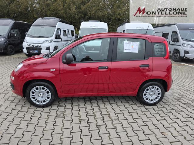 Fiat Panda 1.0 Mild Hybrid Pandina Icon 