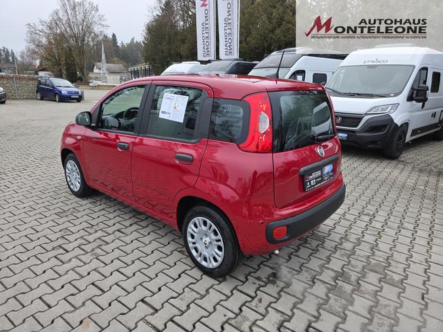 Fiat Panda 1.0 Mild Hybrid Pandina Icon 