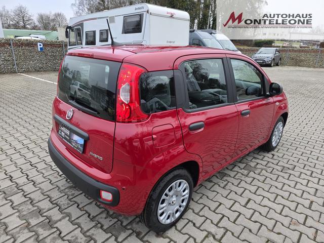 Fiat Panda 1.0 Mild Hybrid Pandina Icon 