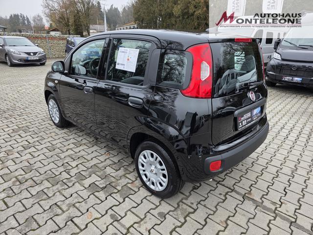 Fiat Panda 1.0 Mild Hybrid Pandina Icon 