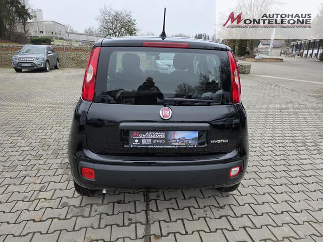 Fiat Panda 1.0 Mild Hybrid Pandina Icon 