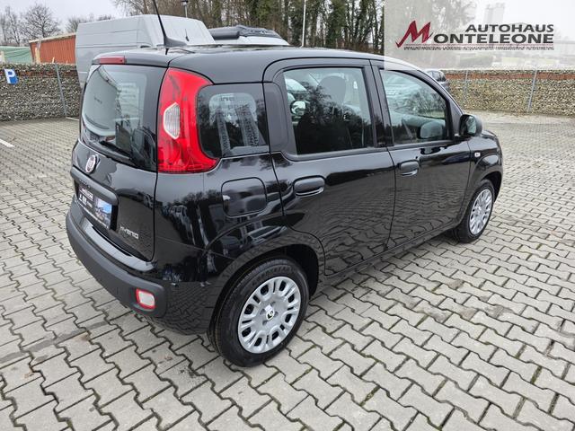 Fiat Panda 1.0 Mild Hybrid Pandina Icon 