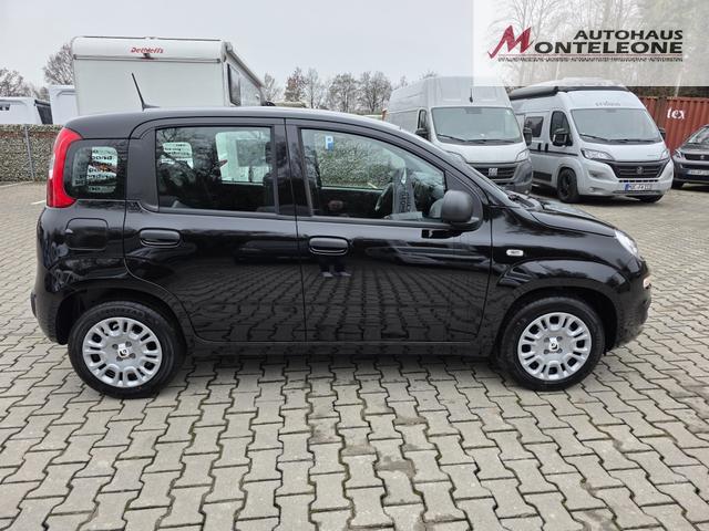 Fiat Panda 1.0 Mild Hybrid Pandina Icon 