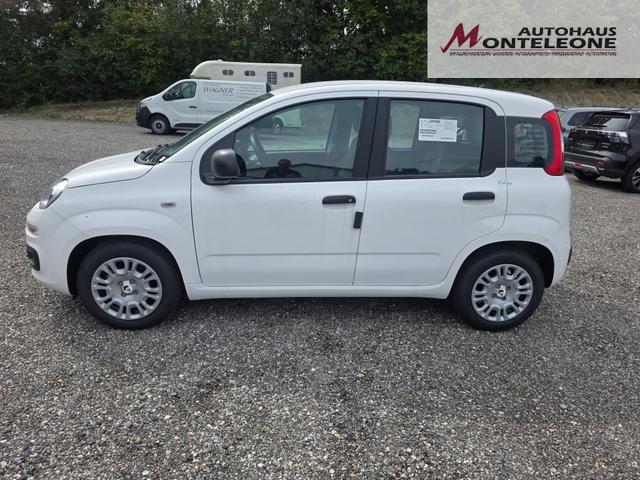 Fiat Panda Pandina POP Hybrid 1.0 GSE 45 KW 65 PS 