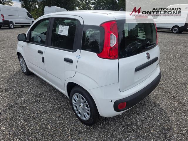 Fiat Panda Pandina POP Hybrid 1.0 GSE 45 KW 65 PS 