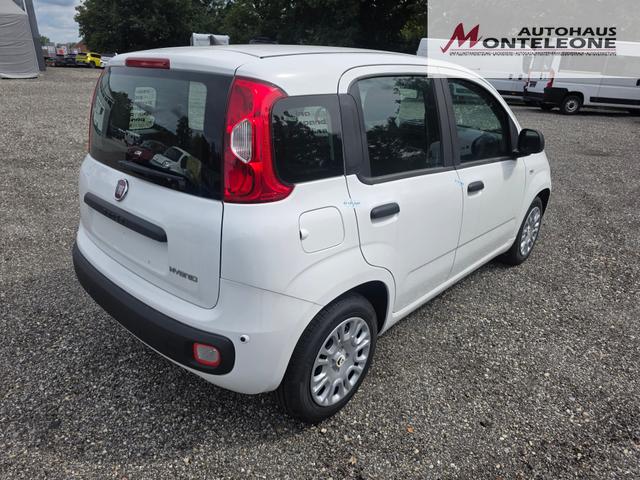 Fiat Panda Pandina POP Hybrid 1.0 GSE 45 KW 65 PS 