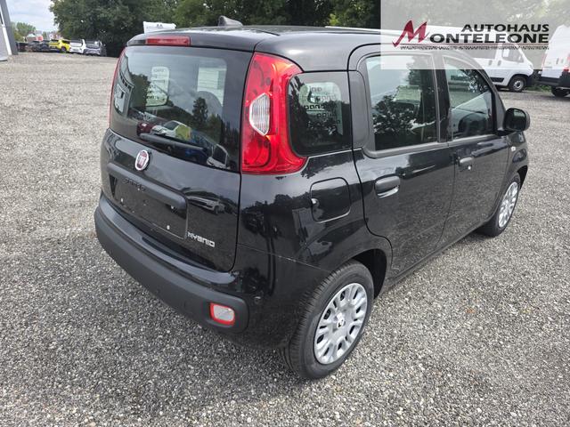 Fiat Panda Pandina Icon Hybrid 1.0 GSE 65 PS 