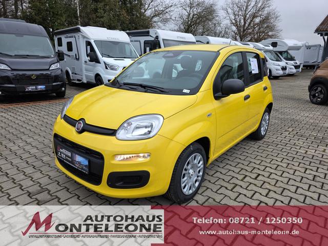 Fiat Panda - 1.0 Mild Hybrid Pandina Pop