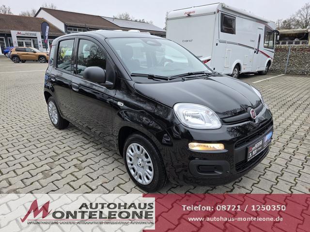 Fiat Panda - 1.0 Mild Hybrid Pandina Icon
